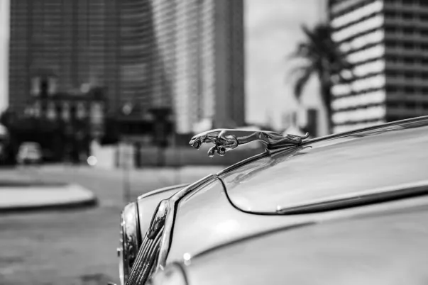 WagerWeb Casino Android/iOS rakendus